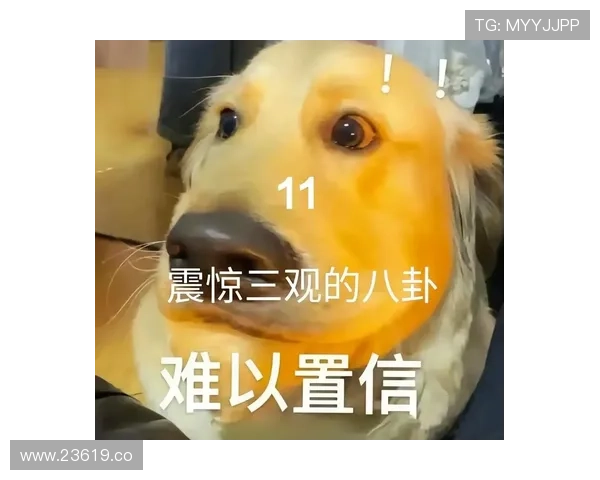 1吃瓜网：满足你对娱乐八卦的所有好奇心